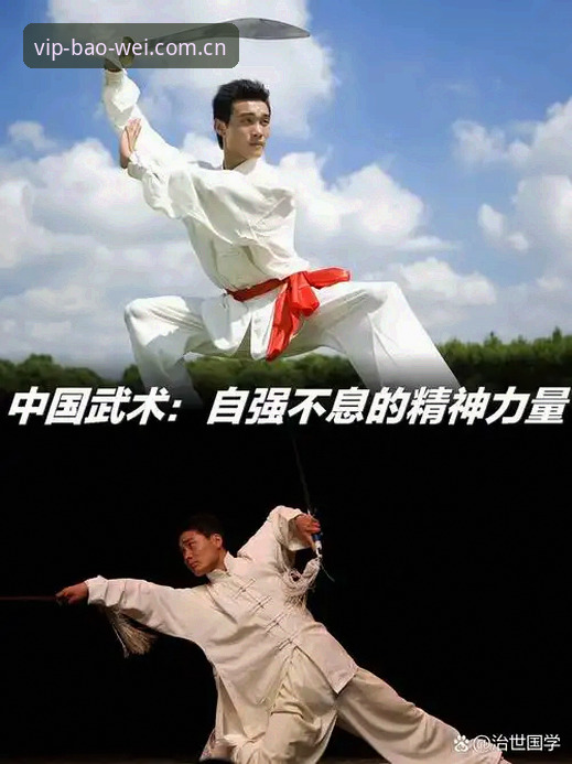 最新宝威体育官方网站使用详解：从登录到下载的实战指南